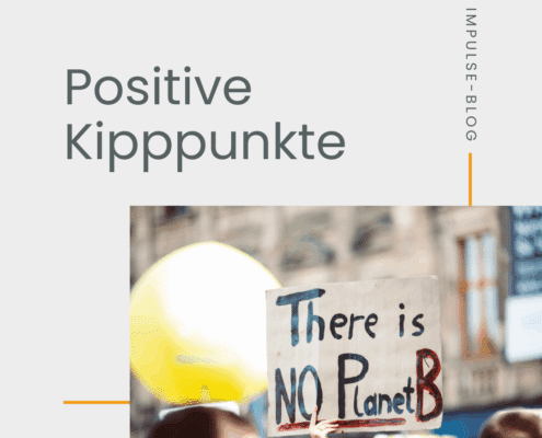 Demonstrationsschild mit Klimabotschaft 'There is no Planet B'.