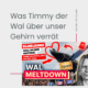 was timmy der wal über unser gehirn verrät